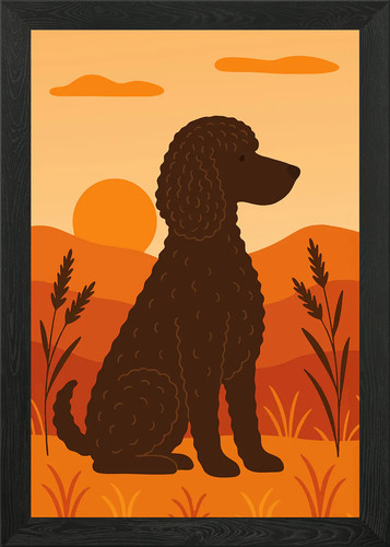Irish water spaniel - spaniel, dog