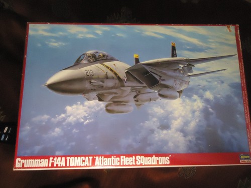 Hasegawa grumman f - 1/48,
