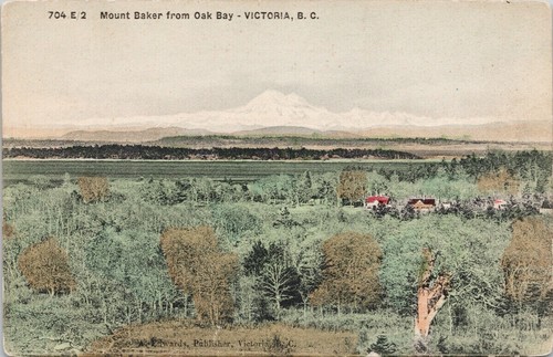 Victoria mount baker - mount, from