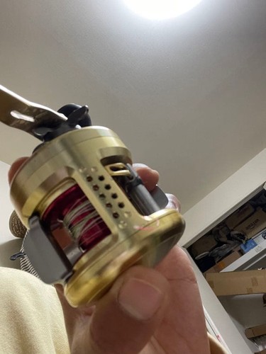 Daiwa millionaire 100l - 14, reel