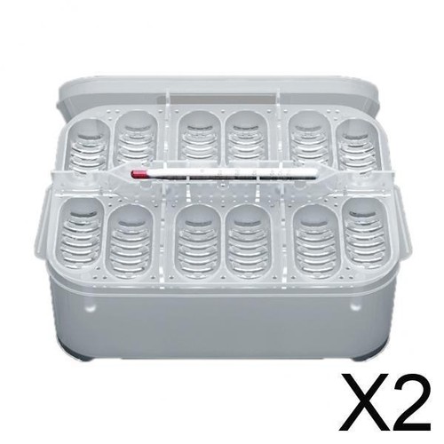 Holes reptile egg - reptile,