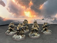 Warhammer Steel Legion