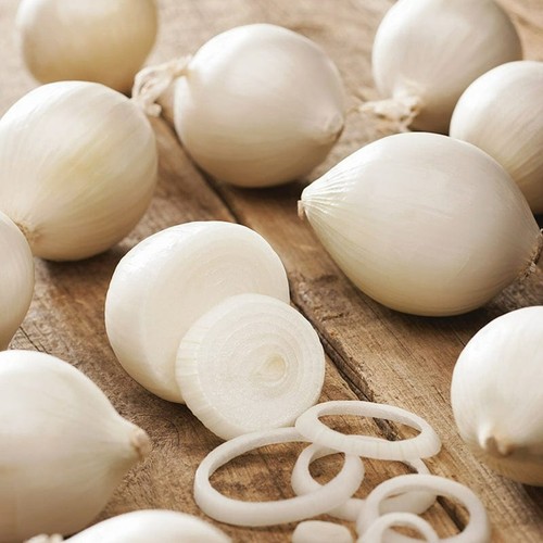 White onion sets snowball - onion,