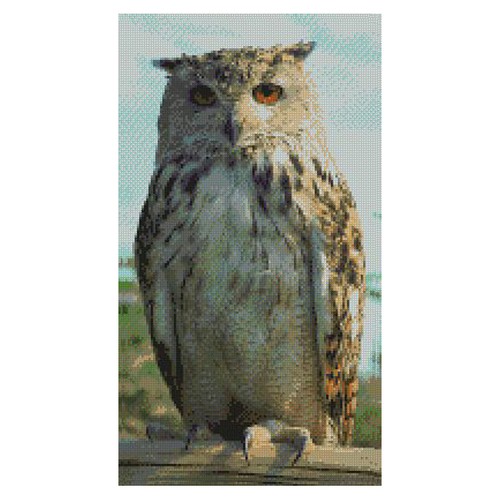 Tawny owl complete counted - tawny,