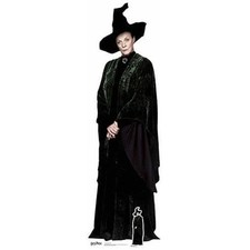 Harry Potter Professor
