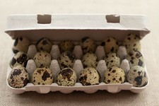 Henpac Quail 18-Egg Egg Boxes, Eco Friendly, also great for crafts and gifting