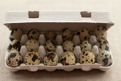 Henpac quail egg - 18-egg,