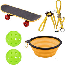 Tortoise enrichment toys - tortoise,