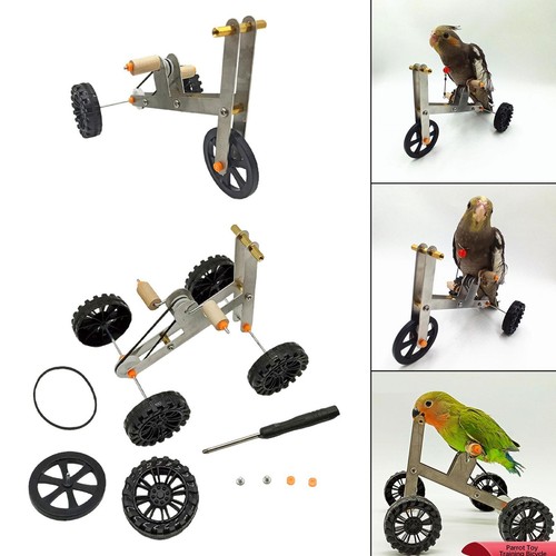 Parrot bike toy - toy,