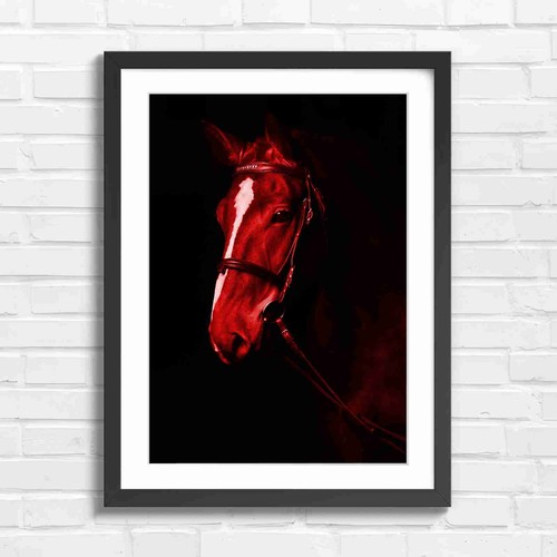 Brown horse portrait - portrait, with