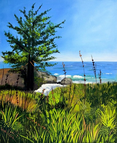 Landscape ocean view tree - landscape,