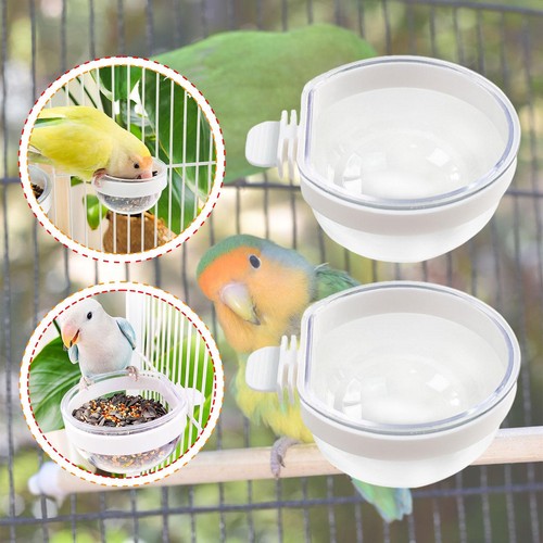 Acrylic bird cage accessory - acrylic,