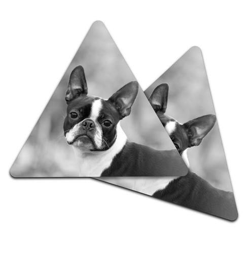 Triangle coaster bw - triangle,
