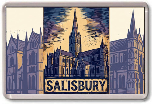 Fridge magnet salisbury - salisbury,