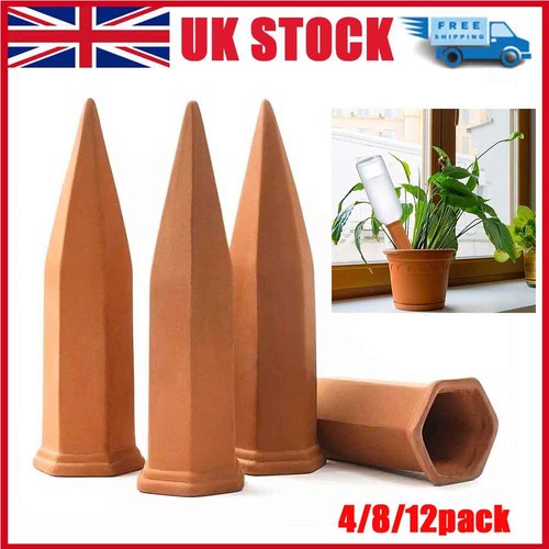 12pack terracotta plant - 4/8/12pack,