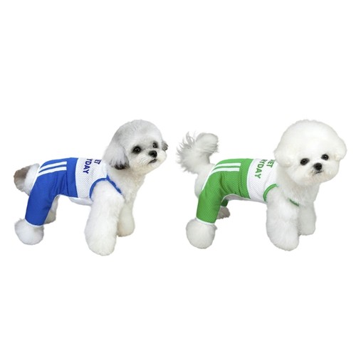 Dog jumpsuit clothes - dog,