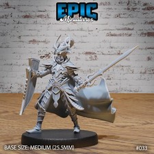 Dark Elf Paladin D&D Dungeons