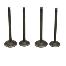 Intake Exhaust Valves Kit For
