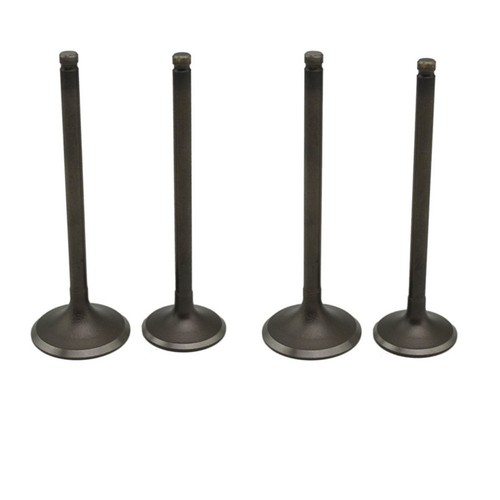 Intake exhaust valves - intake, for