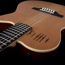Godin A12 12 string guitar