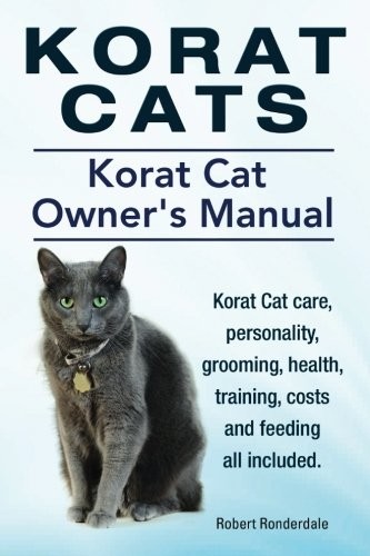 Korat cats - cats., owners