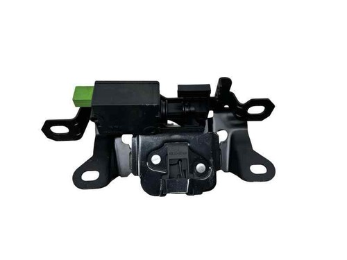 30784739 boot lid - lock, pines