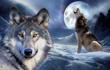 A3 Size - Wolf Highlands Wild Nature Animals GIFT/ WALL DECOR ART POSTER
