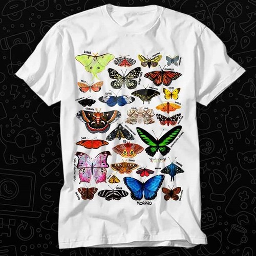 Butterfly name list papillon - name,