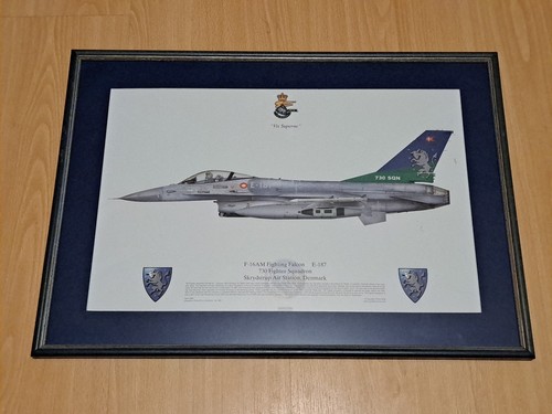 Squadron prints denmark air - squadron,