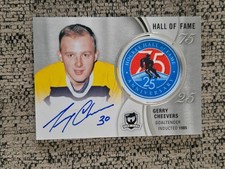 The cup gerry cheevers - cup,