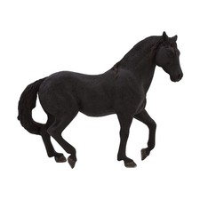 MOJO Andalusian Stallion Black