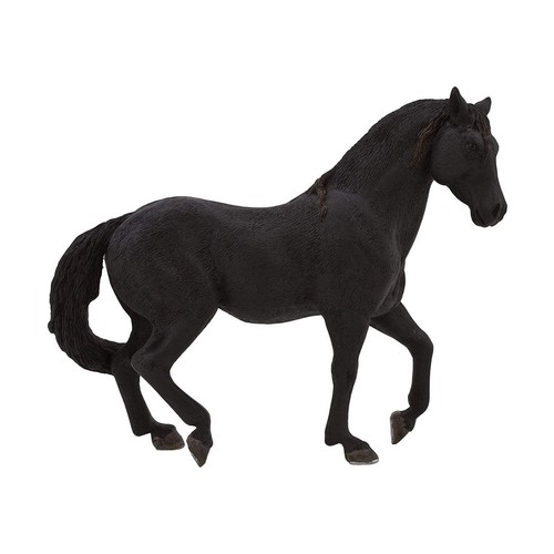 Mojo andalusian stallion - andalusian,