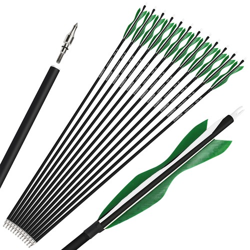 31 carbon arrows - 28", 31"