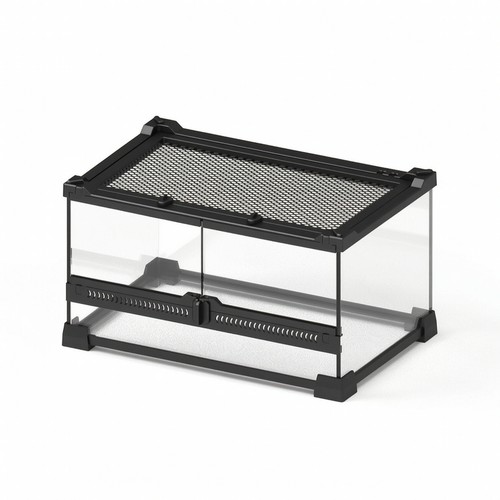 Reptile terrarium - reptile,