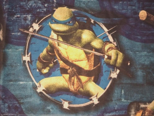 Teenage mutant ninja turtles - teenage,