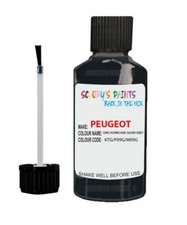 Paint For Peugeot Grey