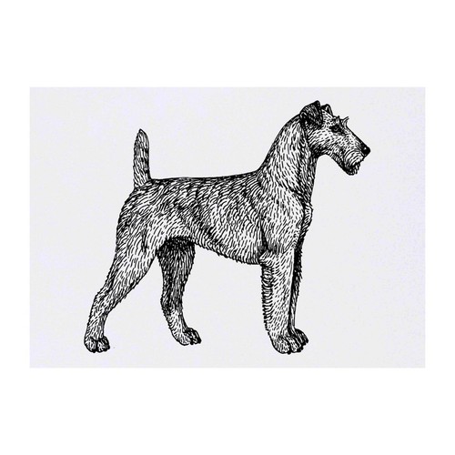 Irish terrier temporary - 'irish,