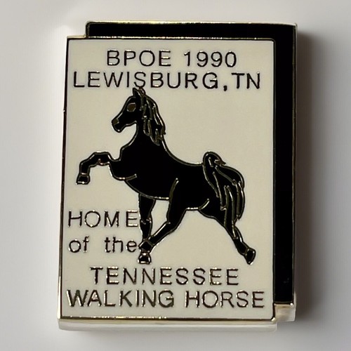 Tennessee walking horse 1990 - tennessee,