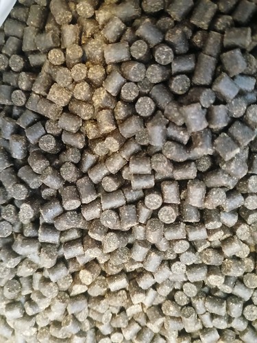 4mm high oil halibut pellets - 4mm,