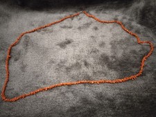 Natural orange branch coral