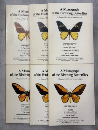 Haugum low birdwing - haugum,