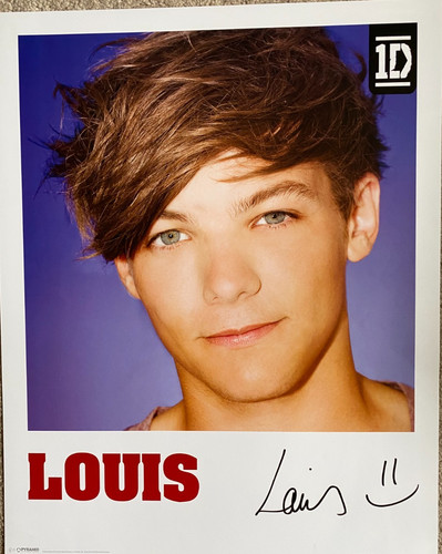 One direction louis - -, great