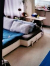 Corner Sofa Bed with Storage