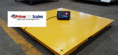 Year warranty 5500 1 lb - year,