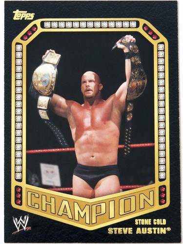 Wwe stone cold steve austin - cold,