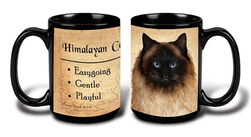 Himalayan cat faithful - cat, my