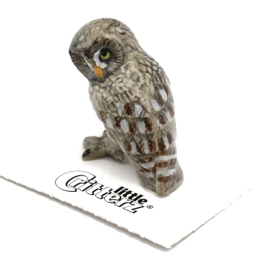 Little critterz owl - critterz,