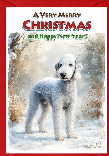 Bedlington terrier dog - bedlington,