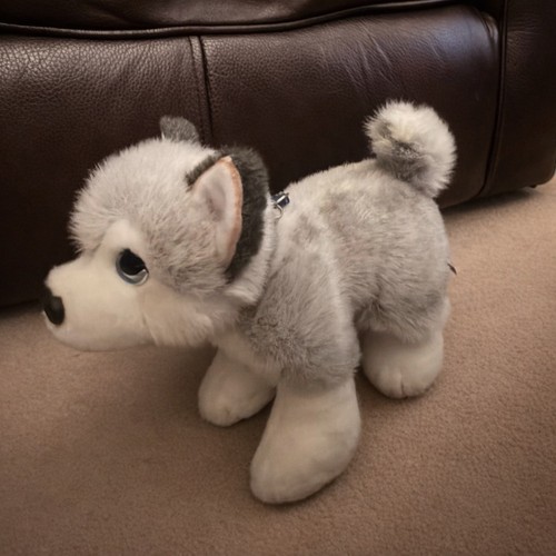 Keel toys husky - husky, dog