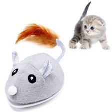 Smart robotic mouse - smart, cat